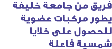 فريق من جامعة خليفة يطور مركبات عضوية للحصول على خلايا شمسية فاعلة